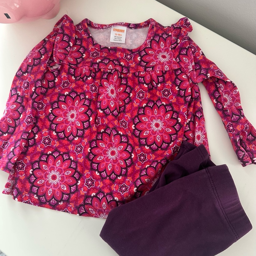 Gymboree Pink Floral Long Sleeve Top and Purple Pants Set